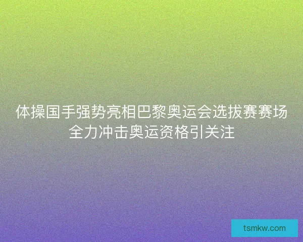体操国手强势亮相巴黎奥运会选拔赛赛场全力冲击奥运资格引关注